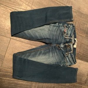 Holister blue  jeans